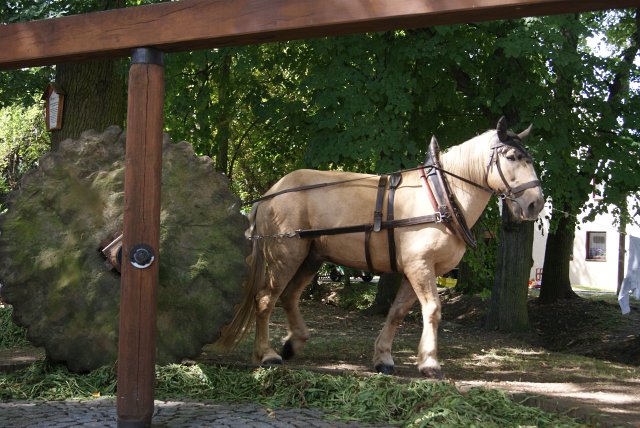 7. Waidm&uuml;hlenfest 2012