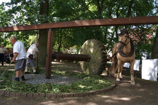 7. Waidm&uuml;hlenfest 2012