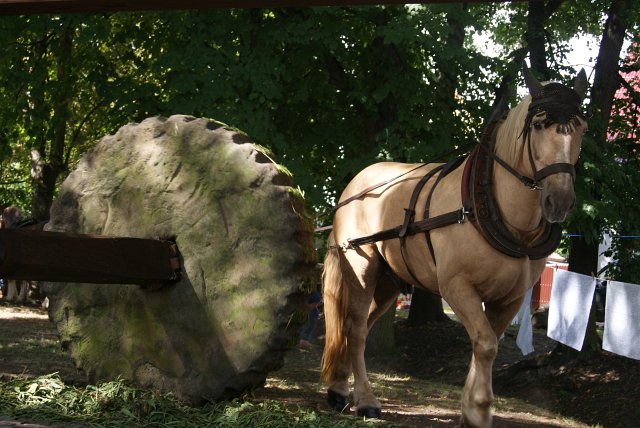 7. Waidm&uuml;hlenfest 2012