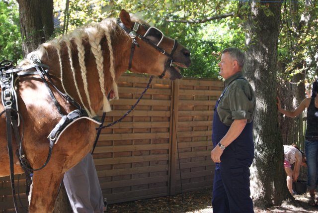 7. Waidm&uuml;hlenfest 2012