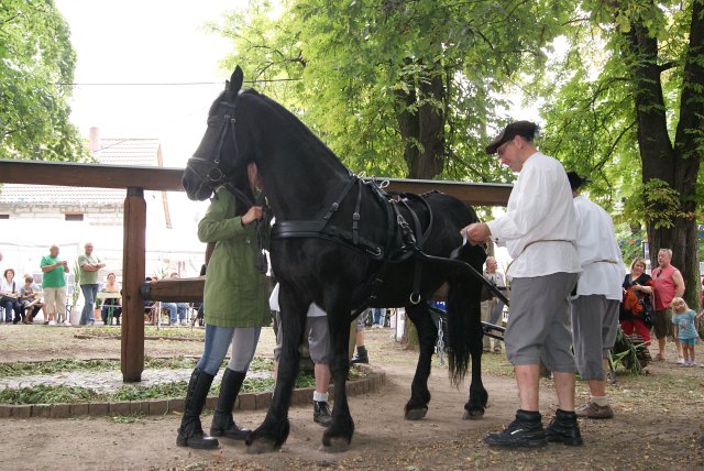 8. Waidm&uuml;hlenfest 2013