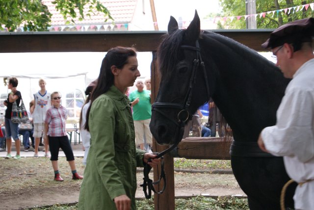 8. Waidm&uuml;hlenfest 2013