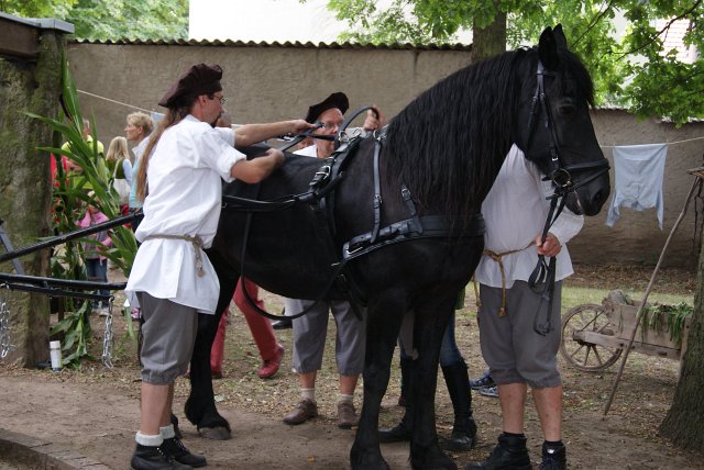 8. Waidm&uuml;hlenfest 2013