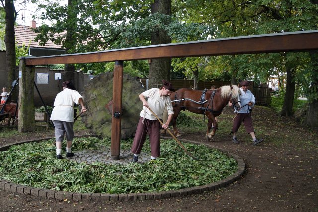 10. Waidm&uuml;hlenfest 2015