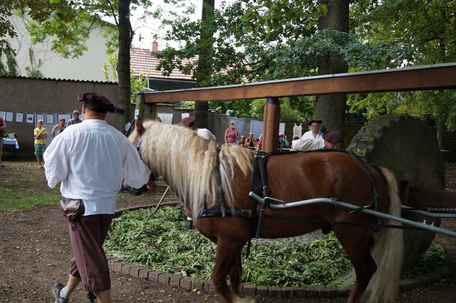 10. Waidm&uuml;hlenfest 2015
