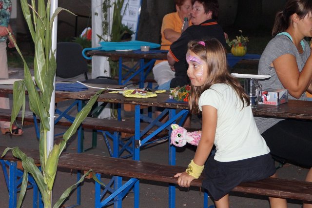 10. Waidm&uuml;hlenfest 2015