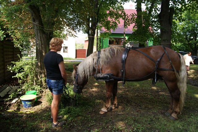 12. Waidm&uuml;hlenfest 2017