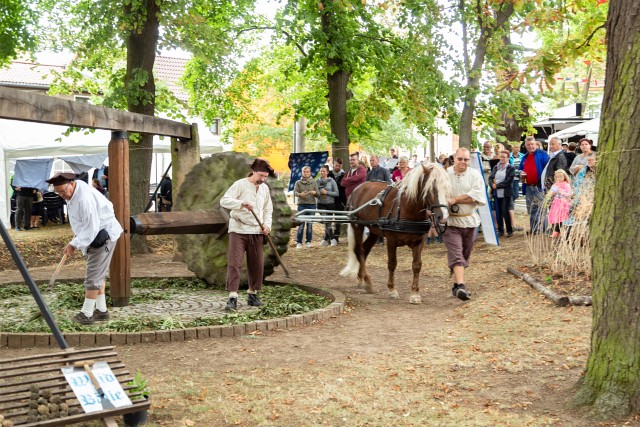 13. Waidm&uuml;hlenfest 2018