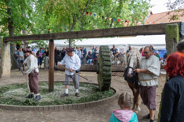 13. Waidm&uuml;hlenfest 2018