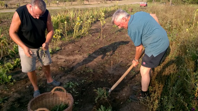 14. Waidm&uuml;hlenfest 2019