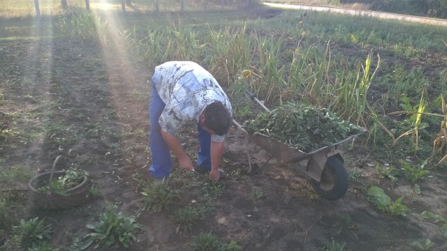 14. Waidm&uuml;hlenfest 2019