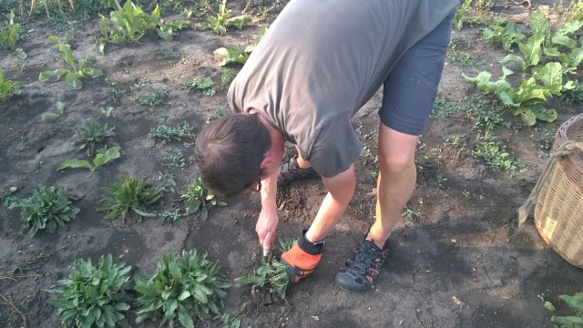 14. Waidm&uuml;hlenfest 2019